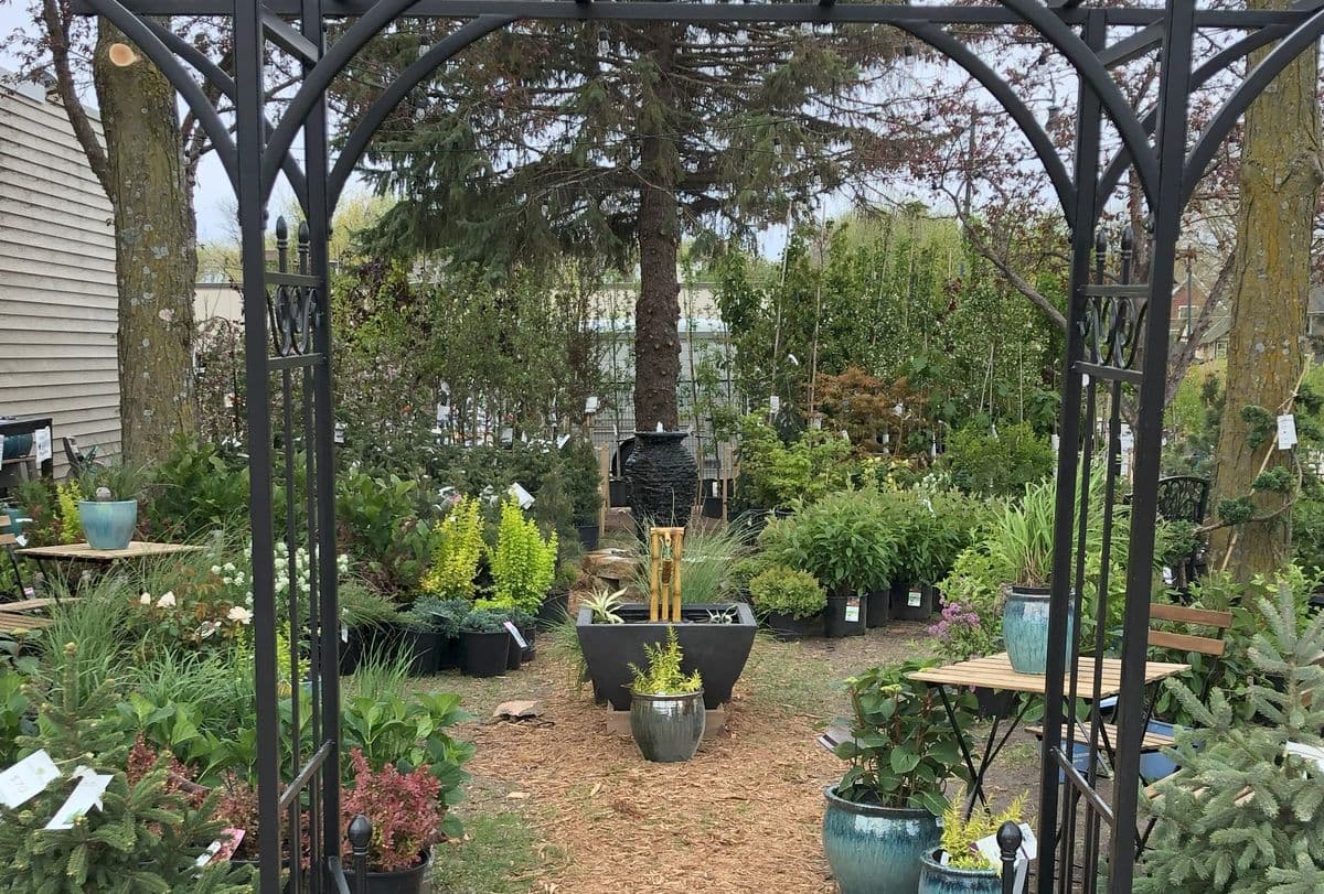 Legacy Trees and Gardens