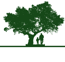 Legendary Trees - business office
