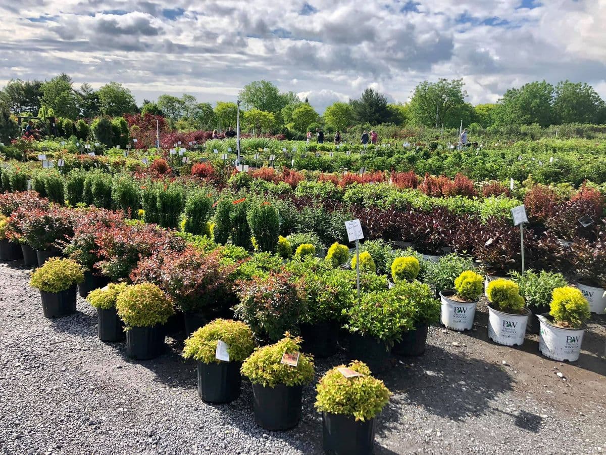 Lehigh Valley Home & Garden Center