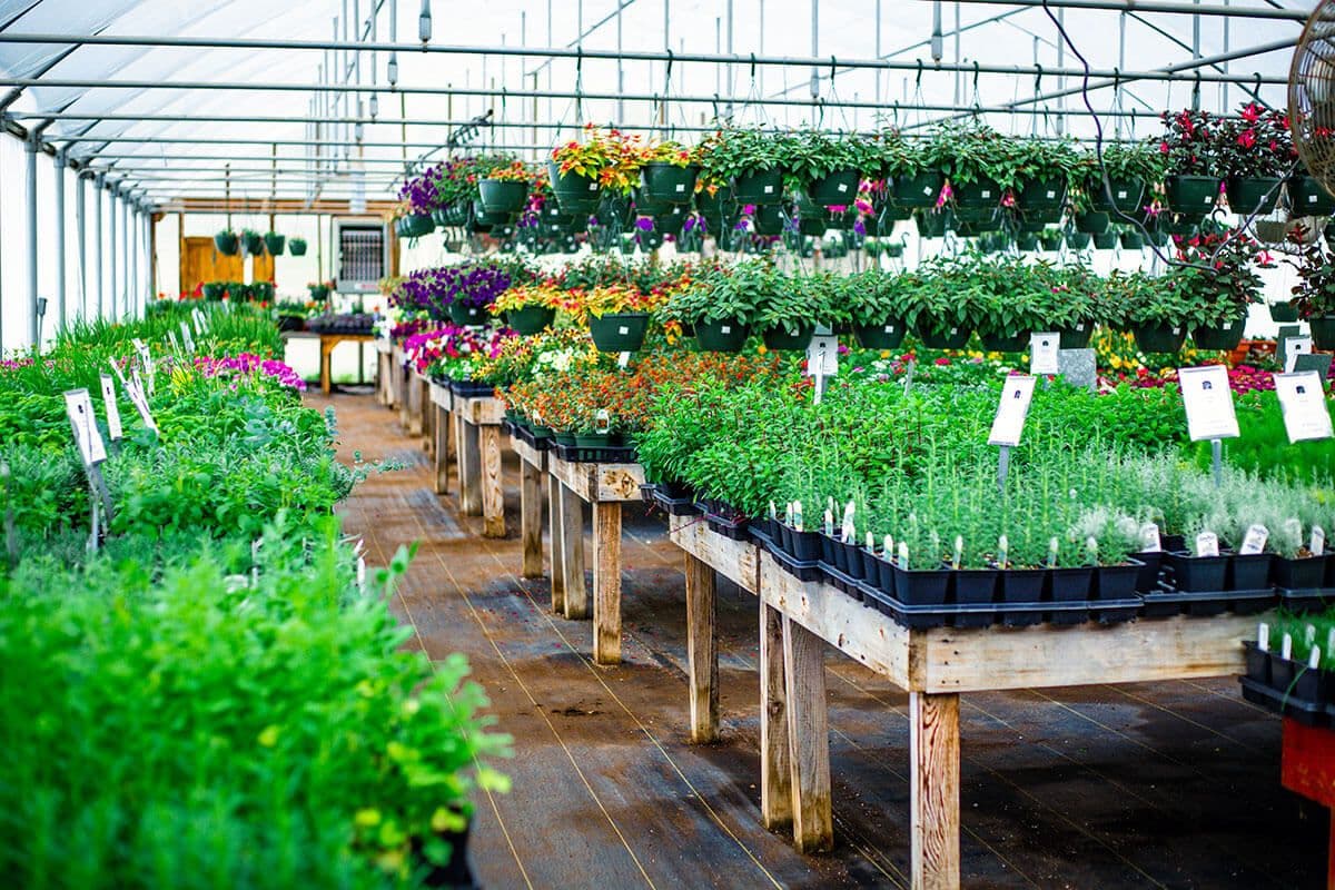 Lehman Nursery