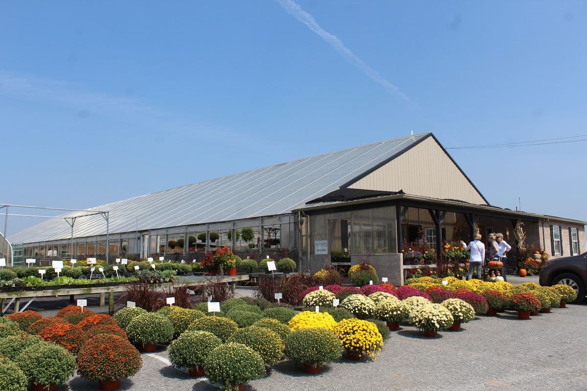 Leid's Greenhouse LLC