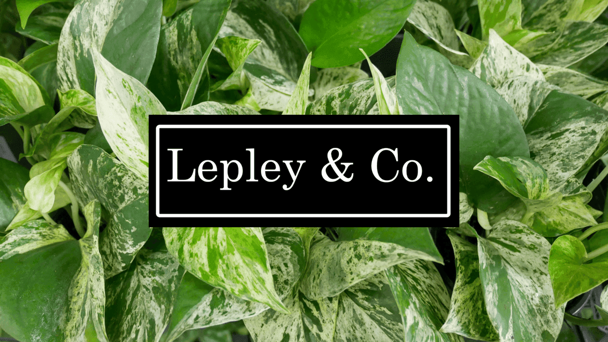 Lepley & Co. - Northside Marketplace