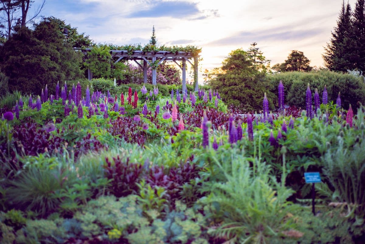 Lerner Garden of the Five Senses