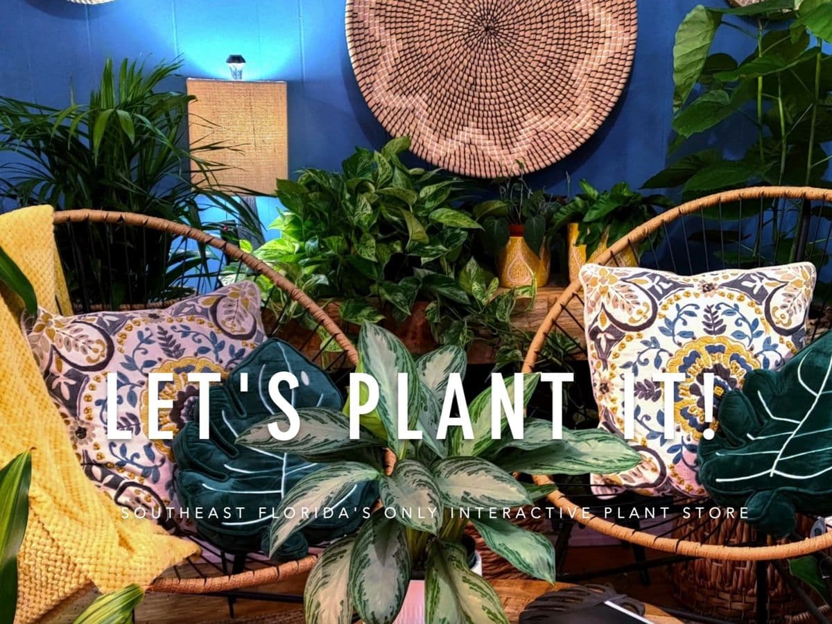 Let's Plant It!