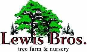 Lewis Brothers Tree Farm