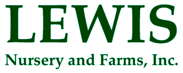 Lewis Strawberry Nursery & Farm