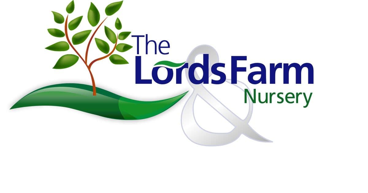 LFN Landscaping