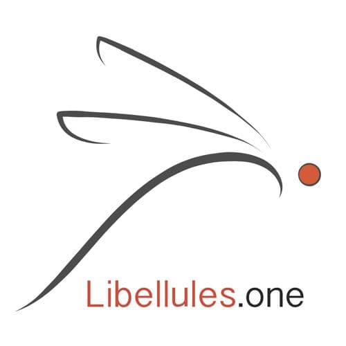Libellules Creations