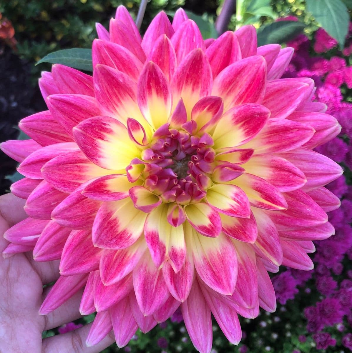 LifeInBloomRVA
