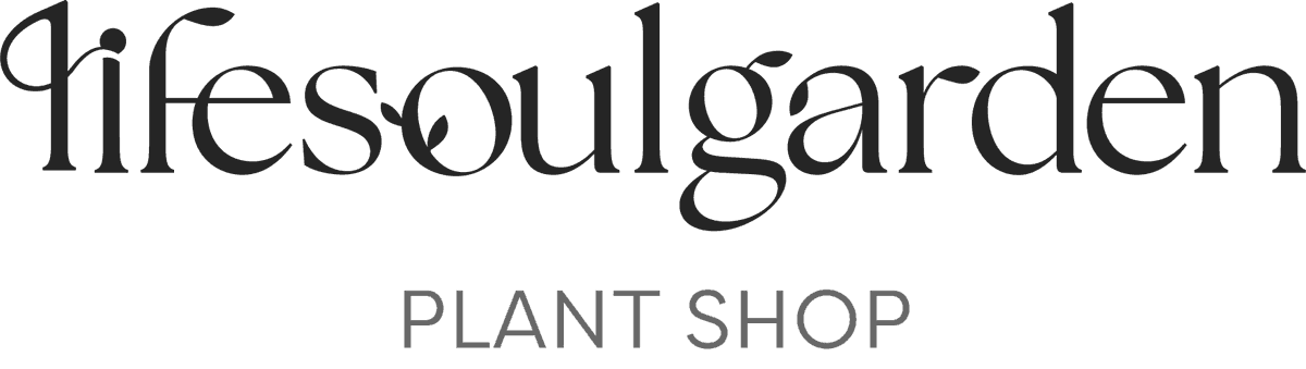 lifesoulgarden plant shop