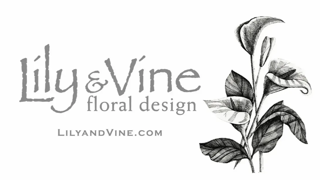 Lily & Vine floral design