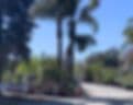 Lisa Arnold Nursery Sales