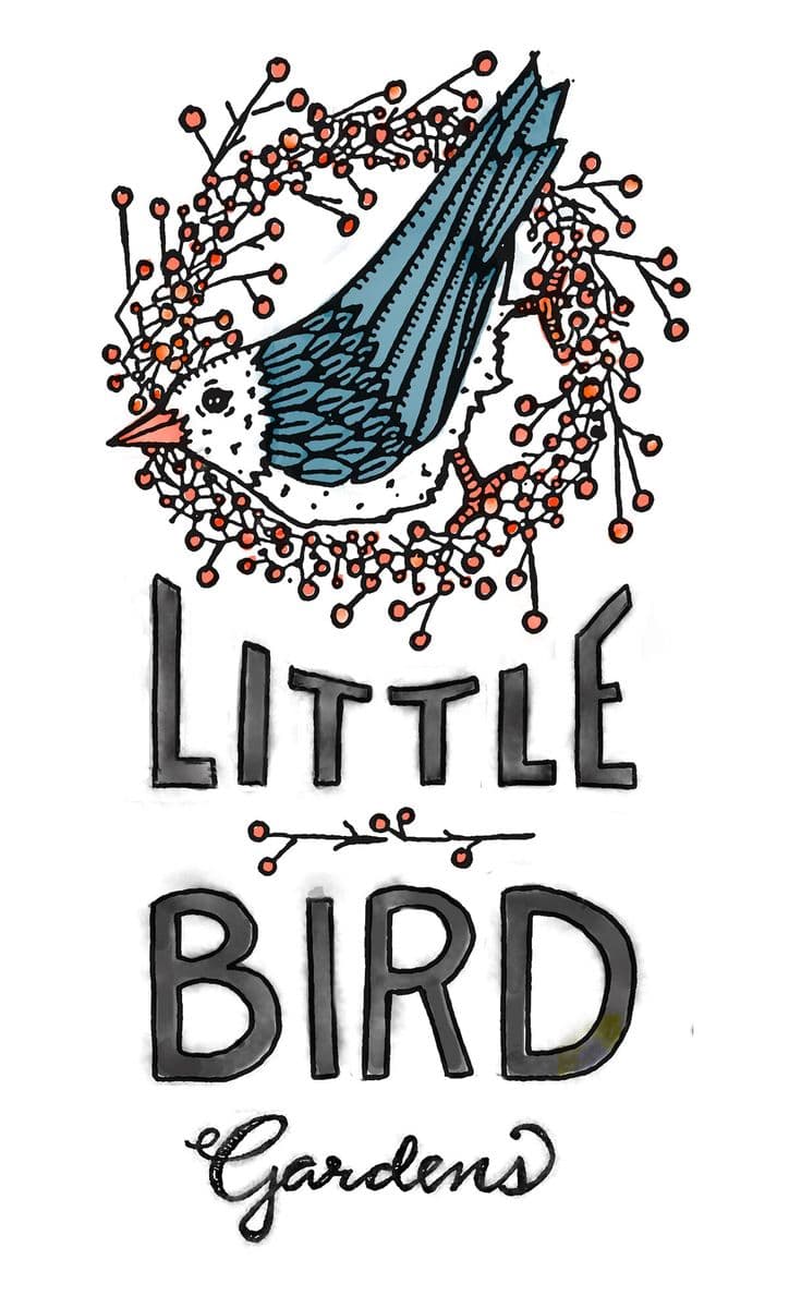Little Bird Gardens