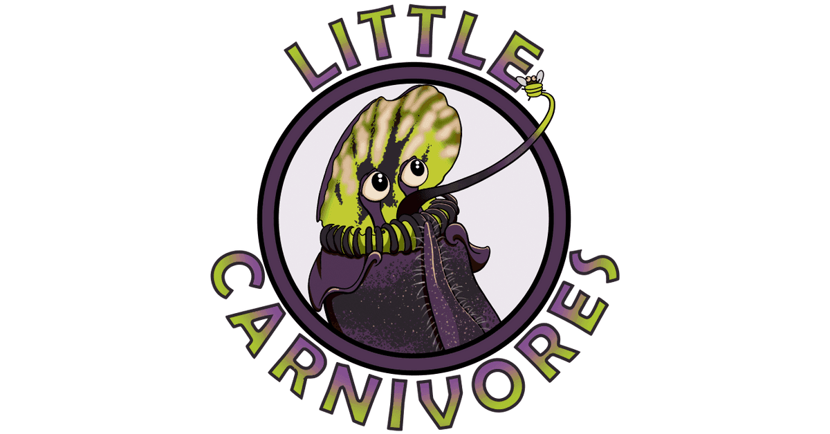 Little Carnivores