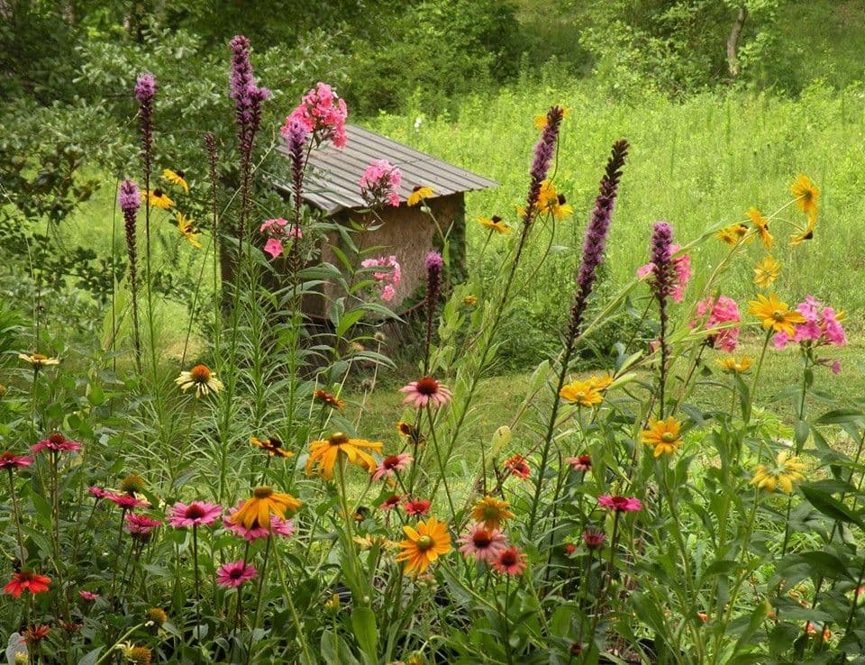 Little Creek Farm Nursery