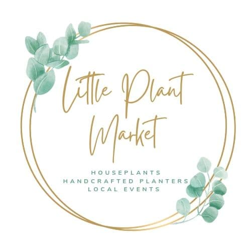 Little Plant Market