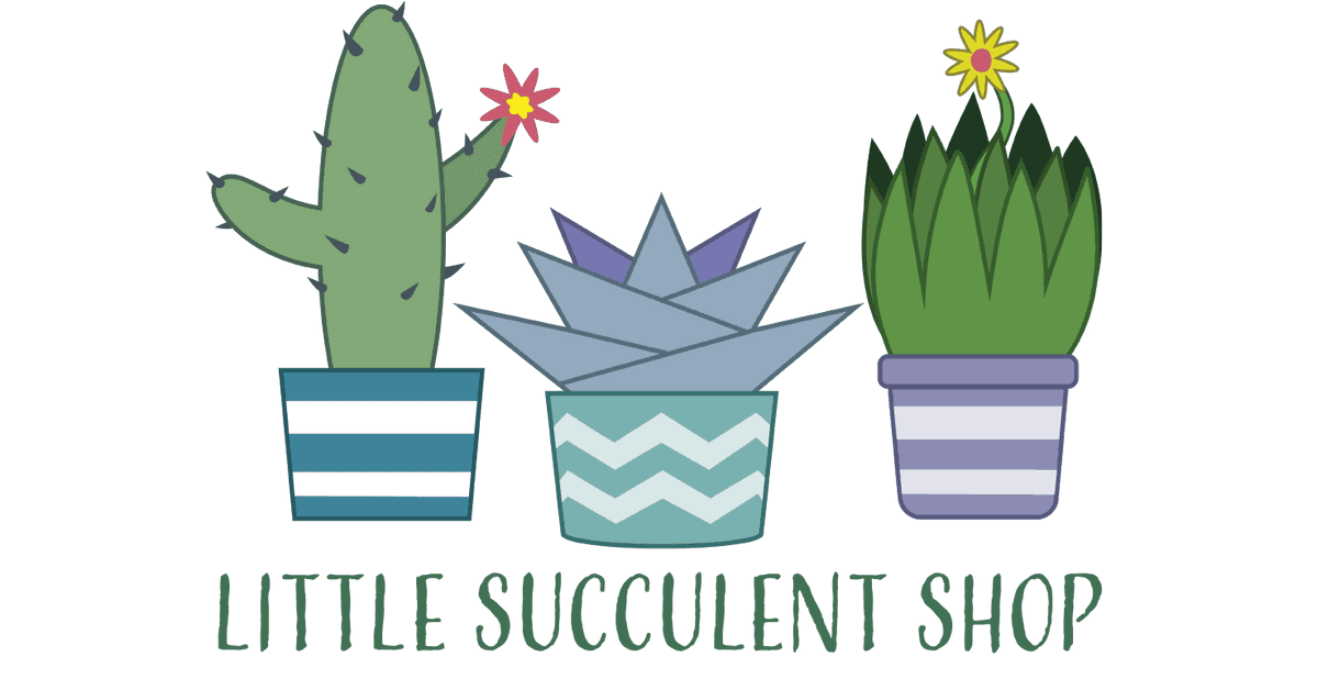 Little Succulent Shop