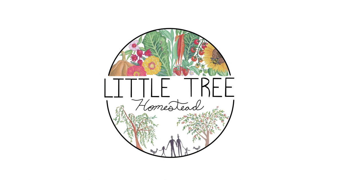 Little Tree Homestead
