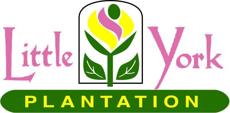 Little York Plantation