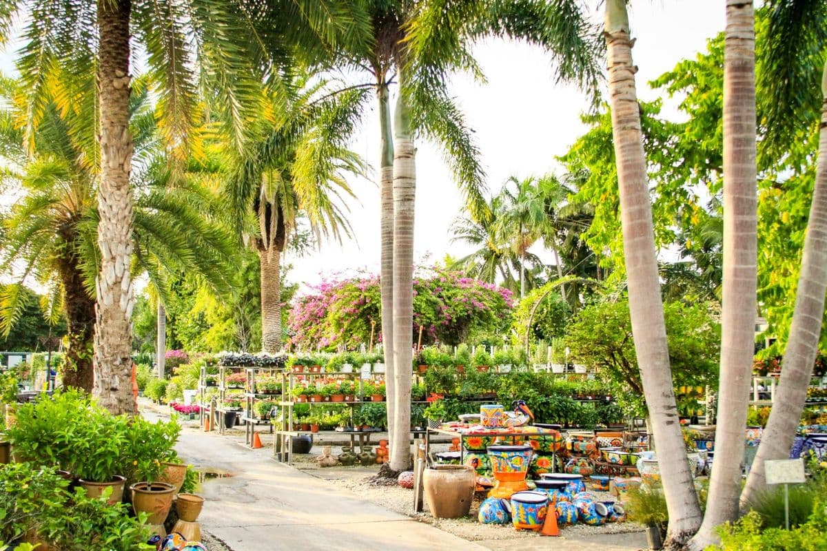 Living Color Garden Center