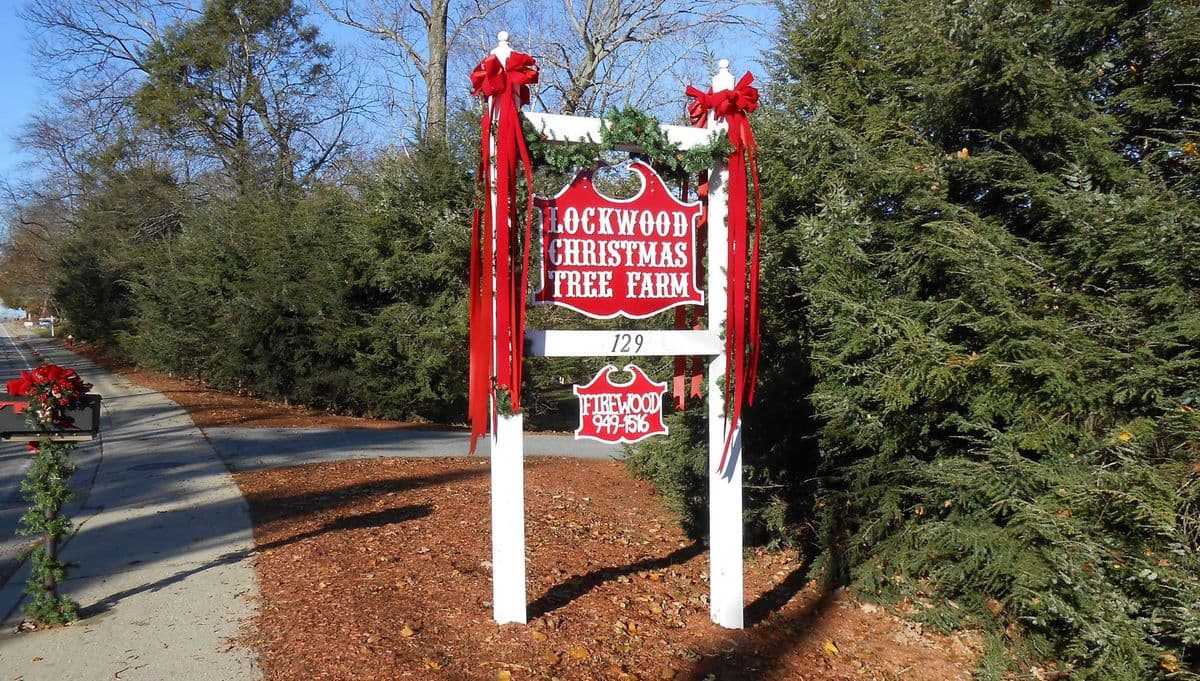 Lockwood Christmas Tree Farm