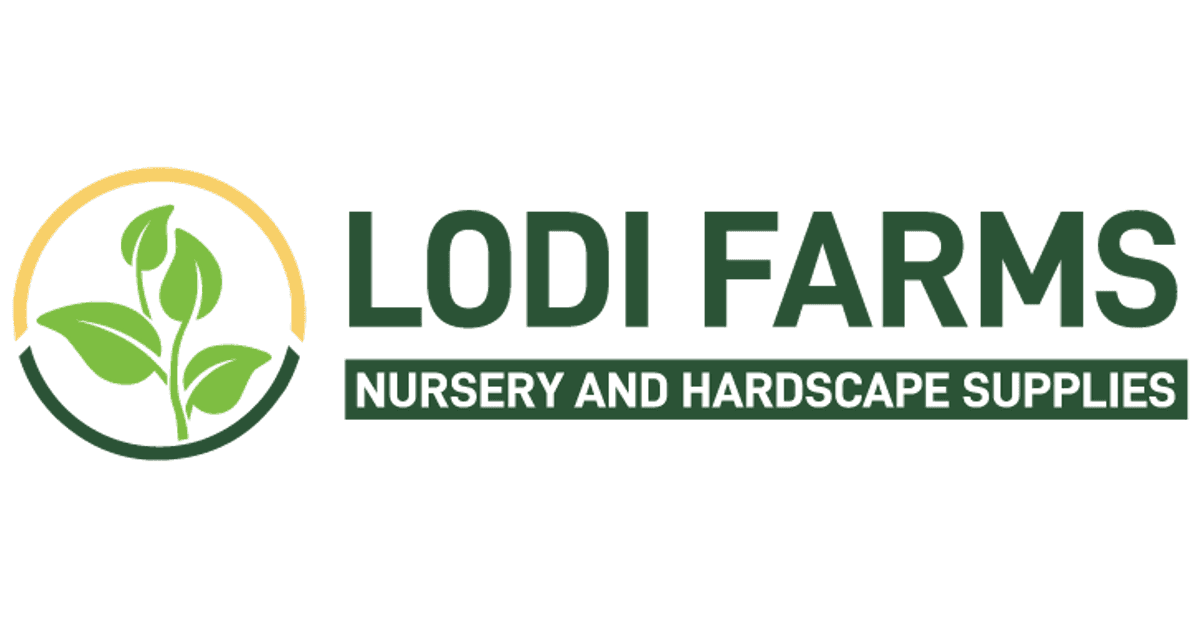 Lodi Farms Ltd