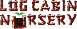 Log Cabin Nursery