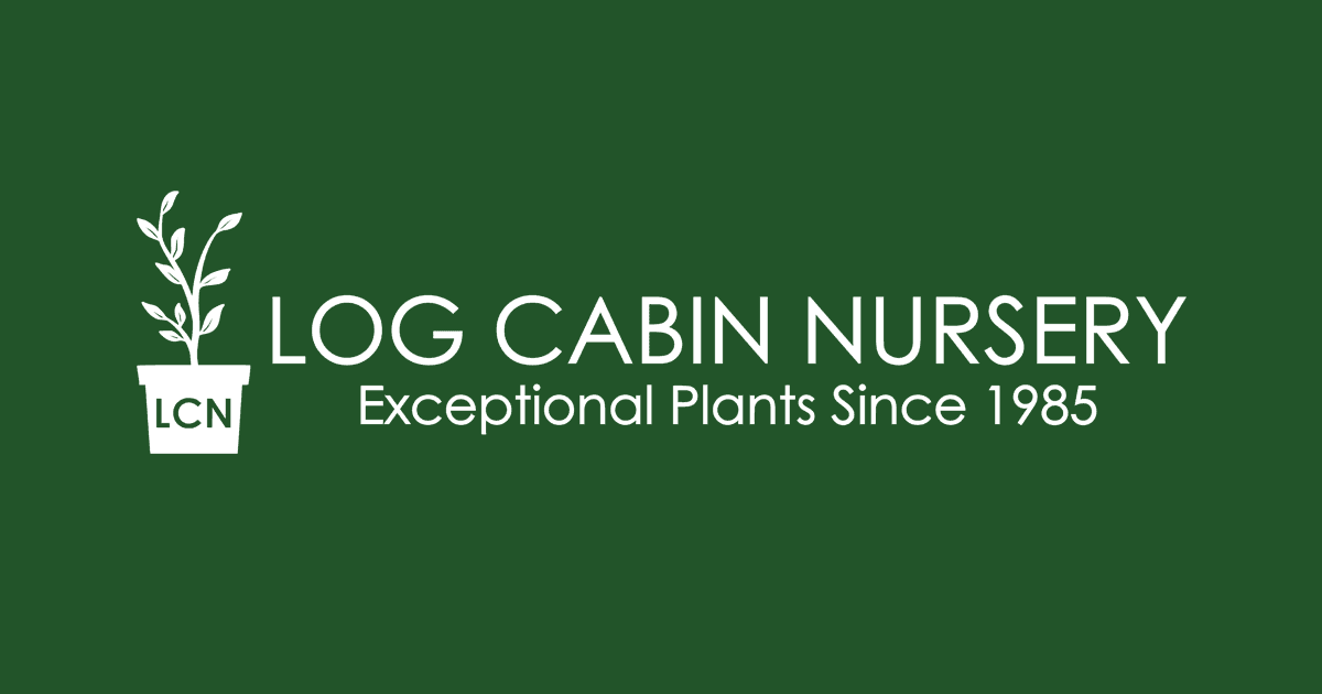 Log Cabin Nursery