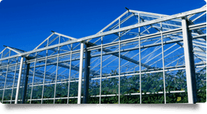 Lonardo's Greenhouse