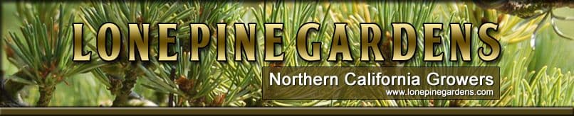 Lone Pine Gardens