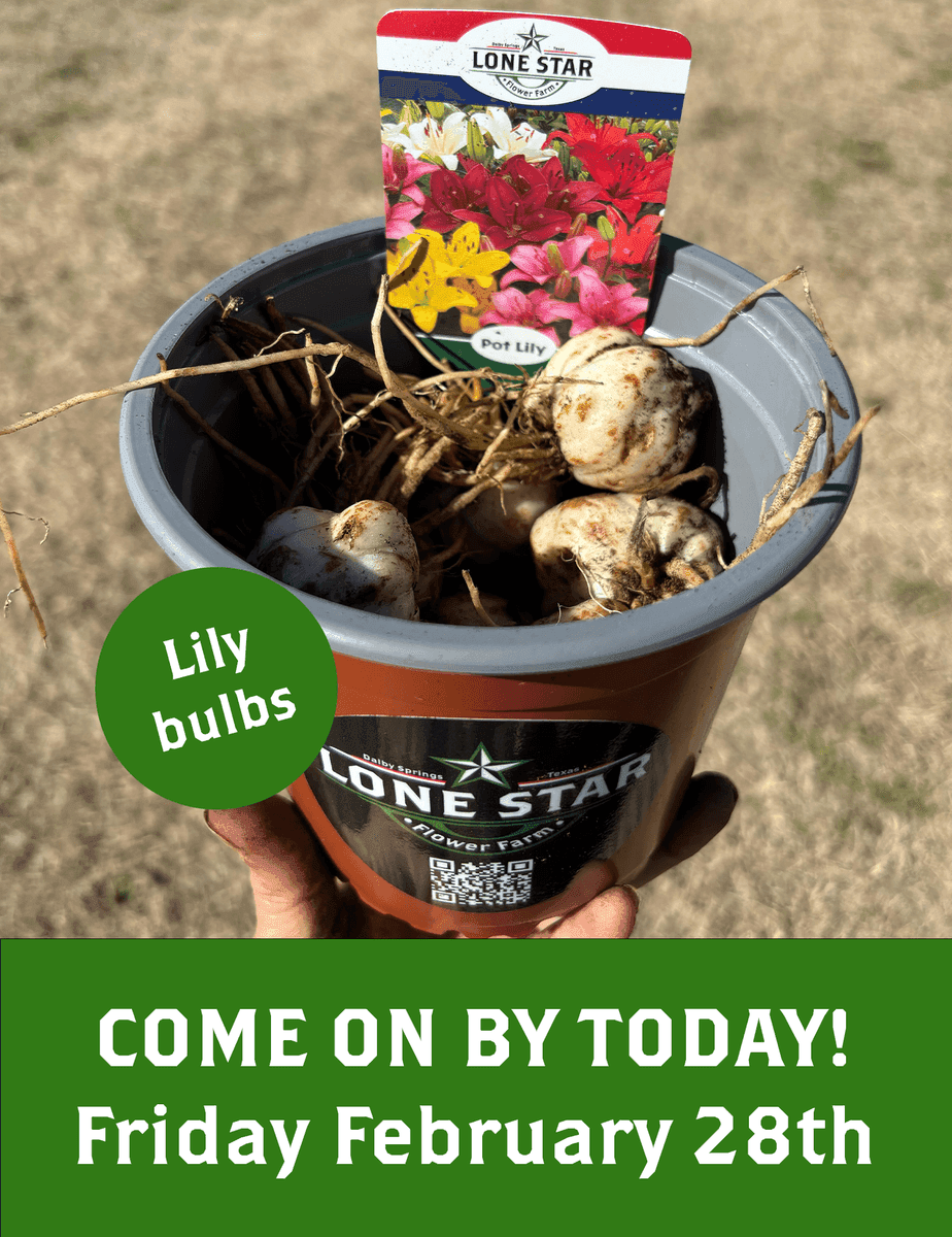 Lone Star Flower Farm LLC