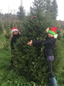 Long's Christmas Trees