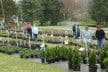 Longview Nursery