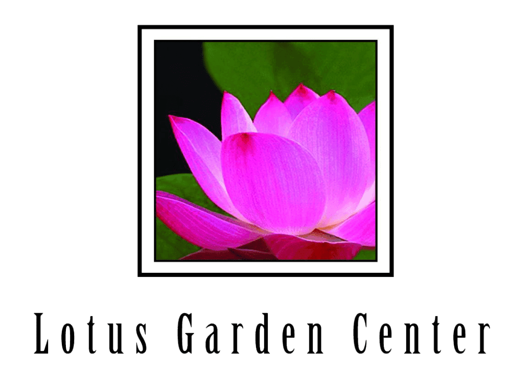 Lotus Garden Center