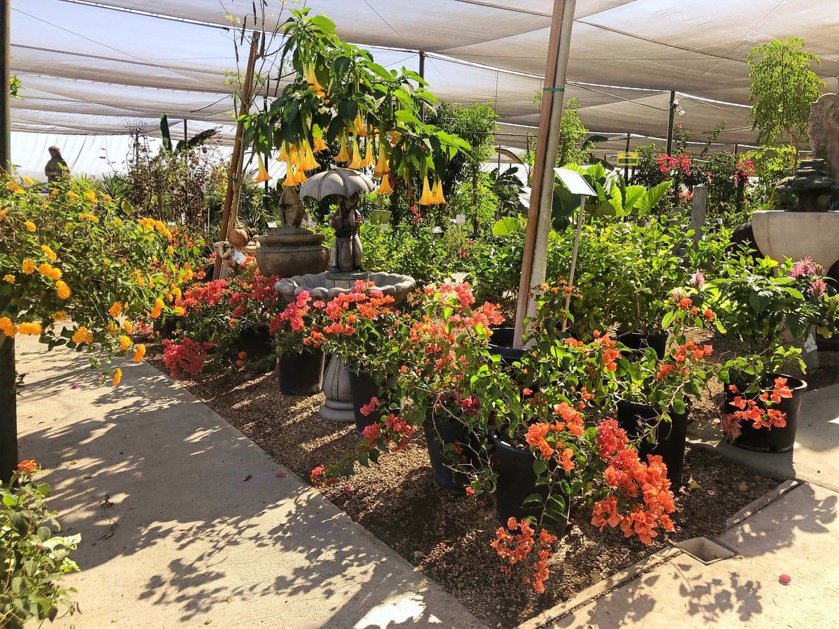 Louie's Landscape Materials Inc