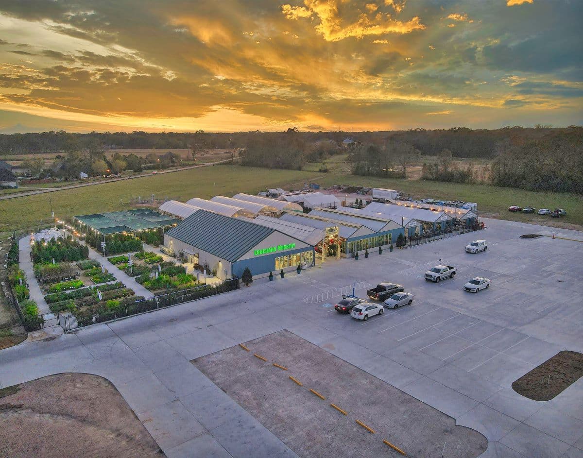 Louisiana Nursery