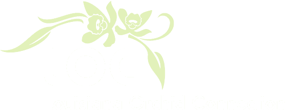 Louisiana Orchid Connection