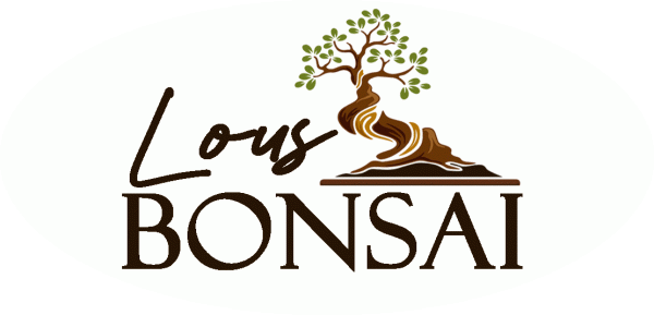Lou's Bonsai