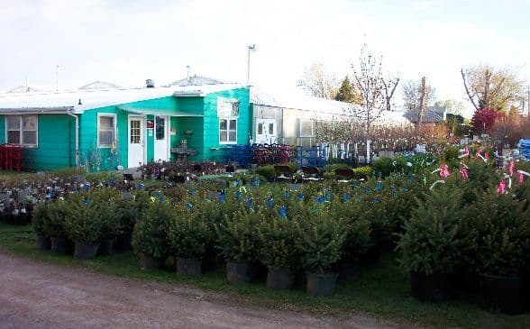 Lou's Greenhouse and Nursery