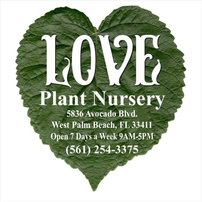 LOVE Plant Nursery
