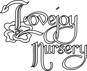 Lovejoy Nursery