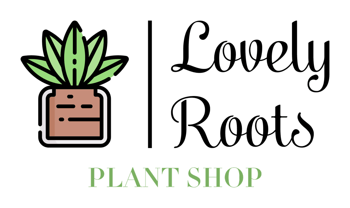 Lovely Roots Plant Shop