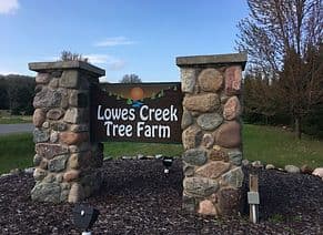 Lowes Creek Tree Farm