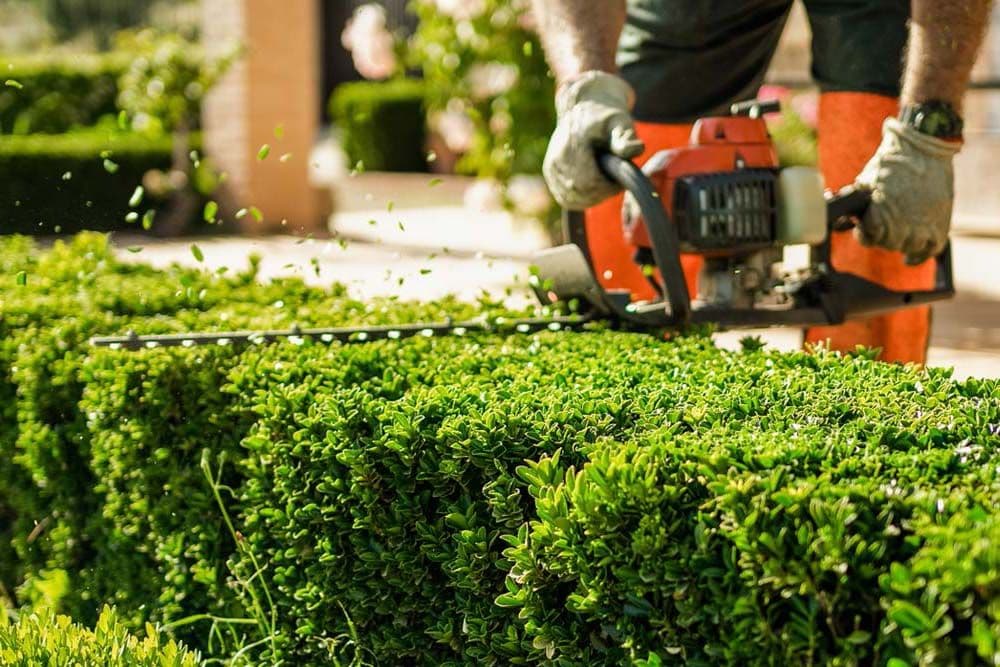 LTD Nursery & Landscape Contractors