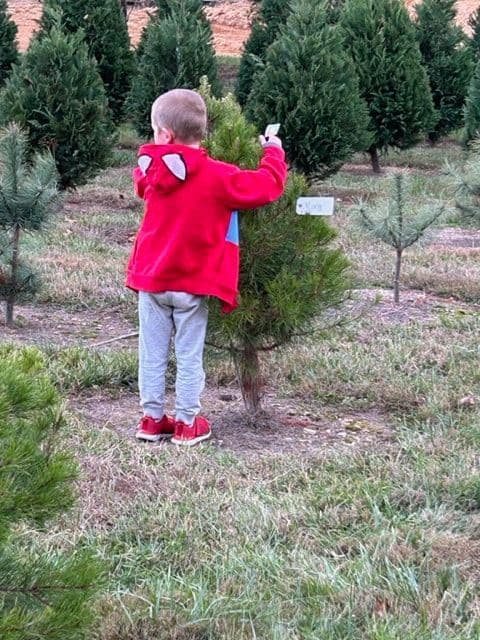 Lucky Dog Christmas Tree Farm