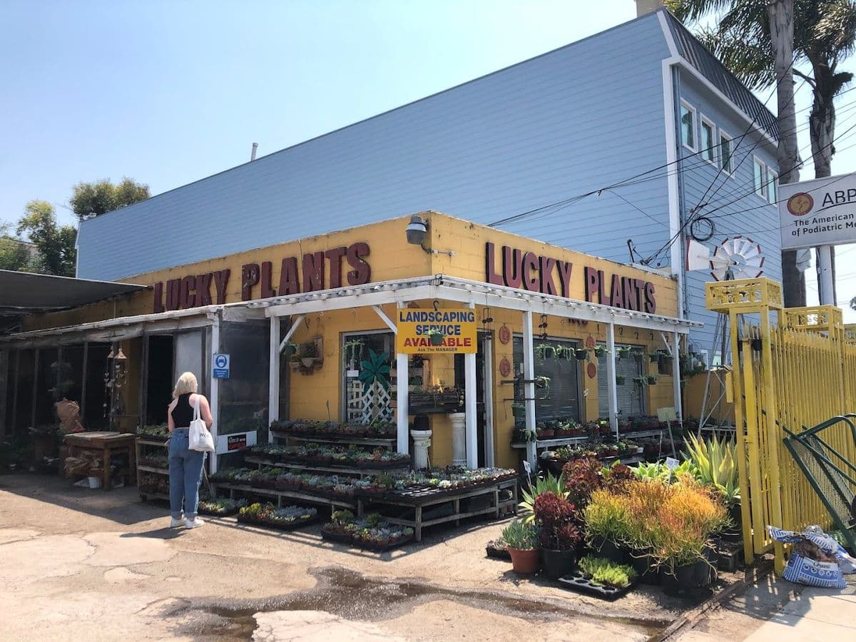 Lucky Plants