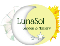 LunaSol Plants, Gifts & More