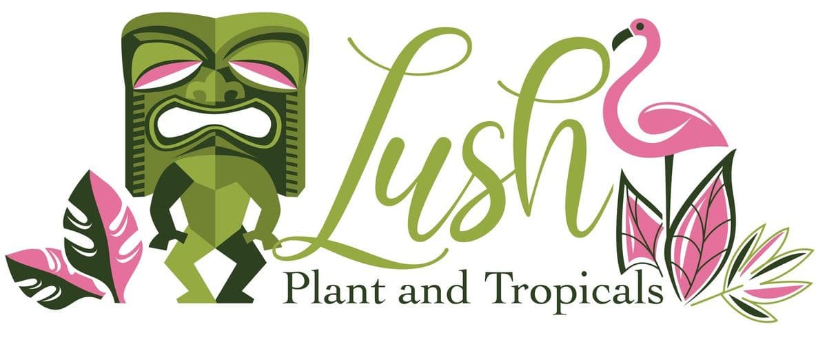 Lush Plant and Tropicals