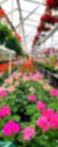 Lutz Greenhouse