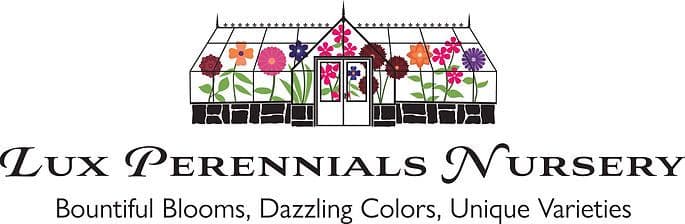 Lux Perennials Nursery